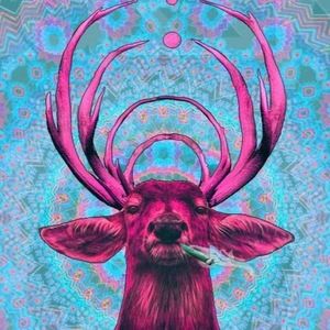 Meet your Posher, Sir